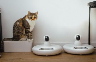How Can Smart Pet Cameras Help You Monitor Your Pet When You’re Away?